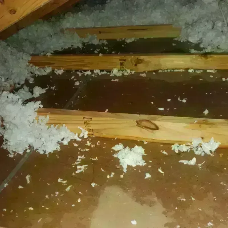 Attic Water Damage in Calhoun County, TX