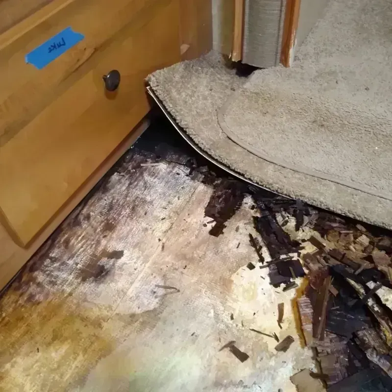 Wood Floor Water Damage in Calhoun County, TX